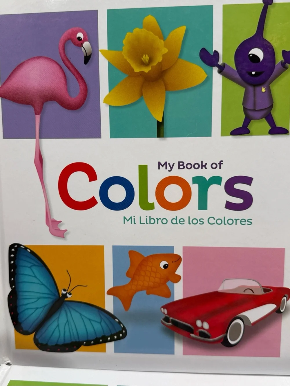 My Book of Colors, Shapes, Words & Numbers - Kids Educational Board Books (Set)